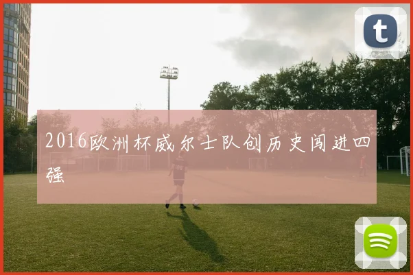 2016欧洲杯威尔士队创历史闯进四强
