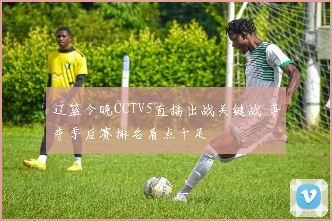辽篮今晚CCTV5直播出战关键战 争夺季后赛排名看点十足