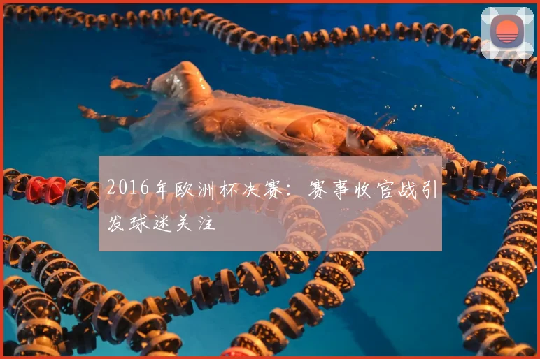 2016年欧洲杯决赛:赛事收官战引发球迷关注