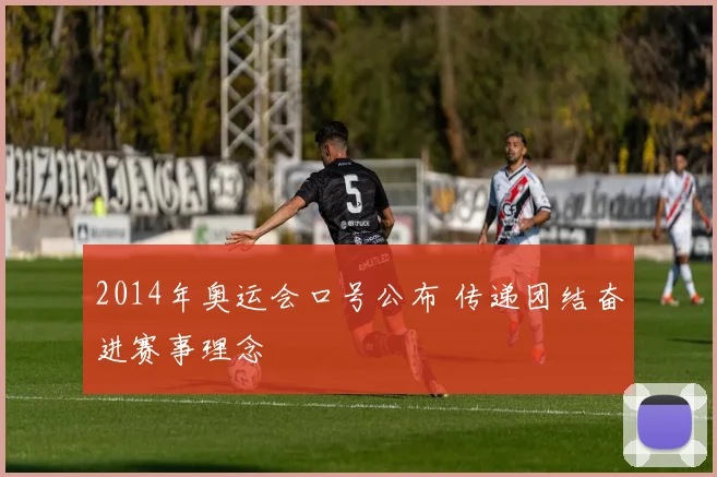 2014年奥运会口号公布 传递团结奋进赛事理念
