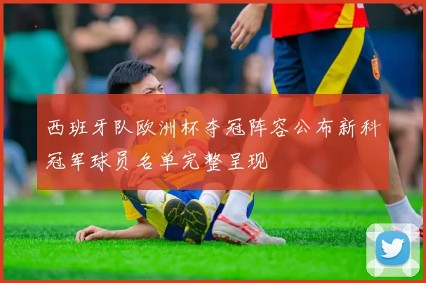 西班牙队欧洲杯夺冠阵容公布新科冠军球员名单完整呈现