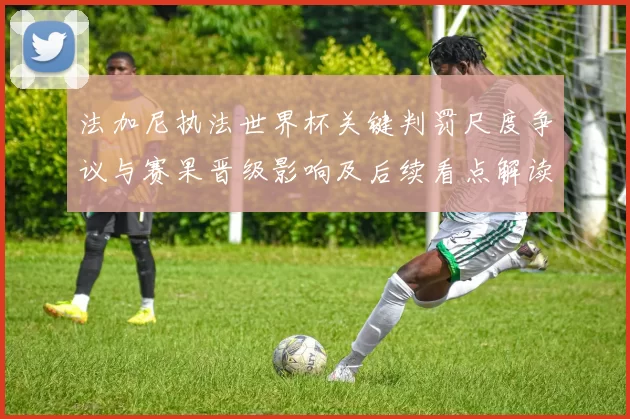 法加尼执法世界杯关键判罚尺度争议与赛果晋级影响及后续看点解读