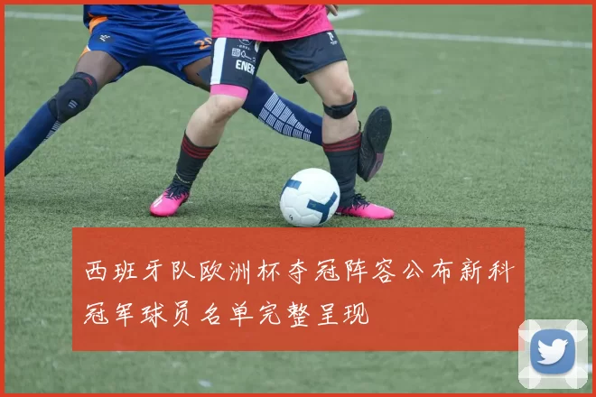 西班牙队欧洲杯夺冠阵容公布新科冠军球员名单完整呈现