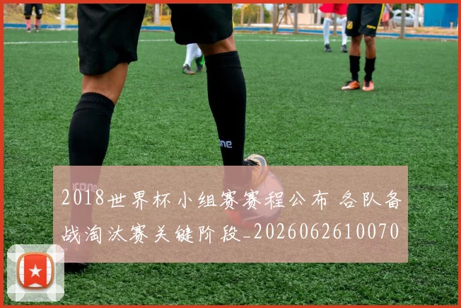 2018世界杯小组赛赛程公布 各队备战淘汰赛关键阶段_20260626100708